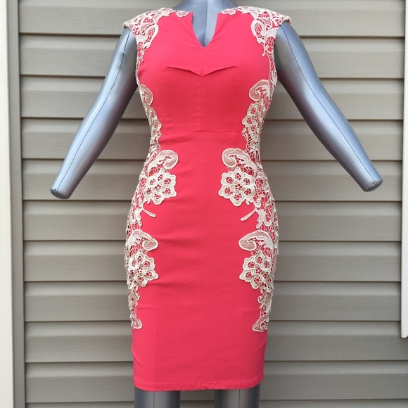Stunning Bodycon Dress in Pink and Tan Lace - Picture 1 of 7